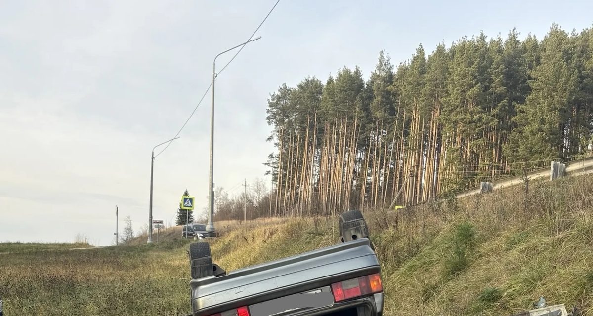 Мужчина с шестилетним сыном перевернулся на трассе — ребёнок был в детском удерживающем устройстве не по возрасту