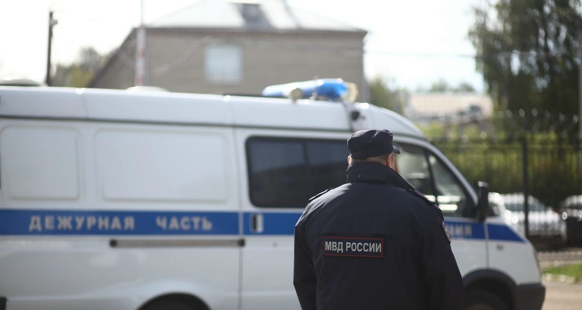 Жительница Островского перевела 60 тысяч рублей за снегоуборщик, который так и не приехал