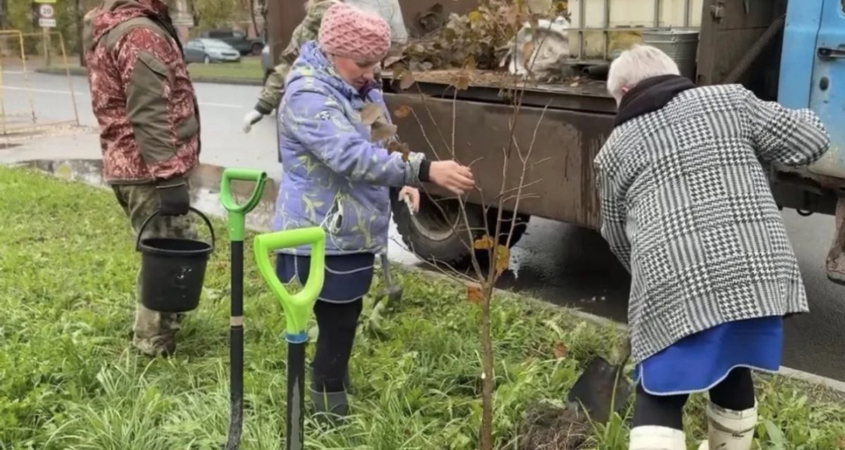 В Костроме высадили 1163 дерева и кустарника в скверах и вдоль улиц