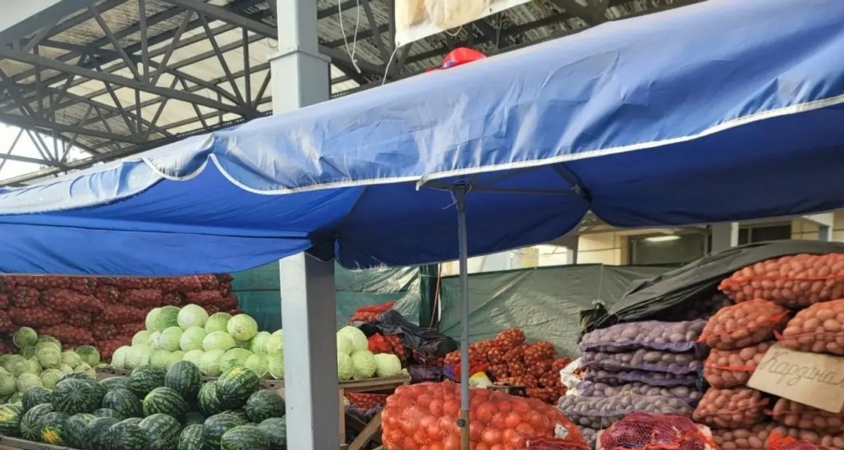 В Костроме открыли ярмарки с овощами от фермеров без наценок — места для продавцов ещё есть